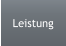 Leistung