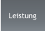 Leistung
